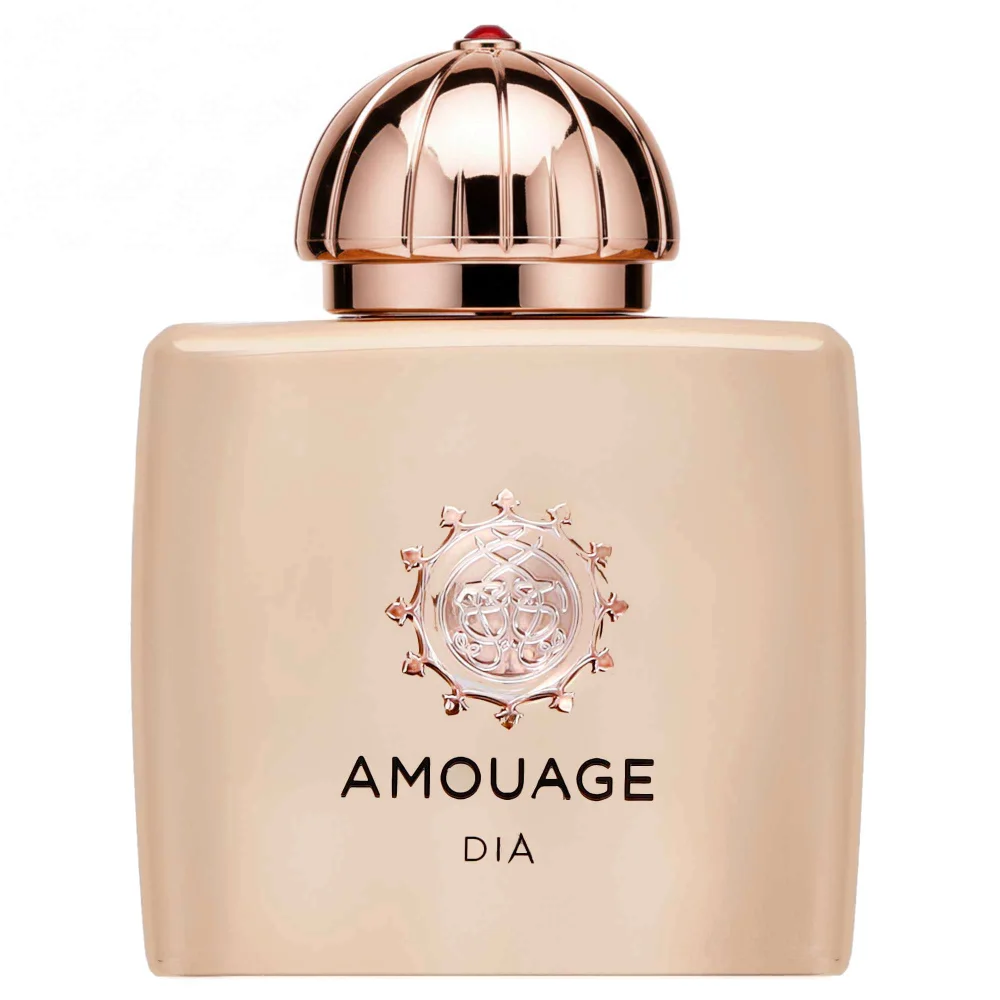 Amouage Dia Woman Eau de Parfum Spray 100ml Image 1
