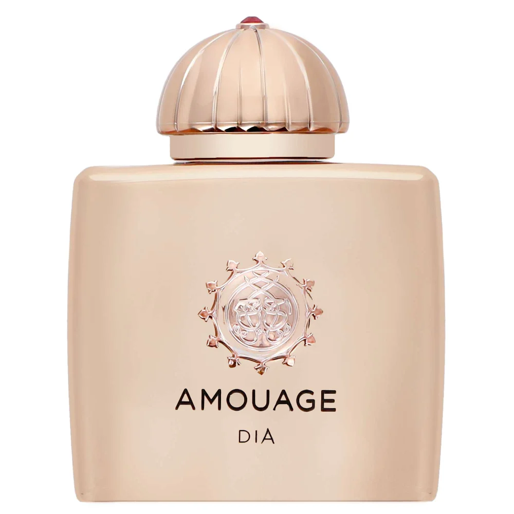 Amouage Dia Woman Eau de Parfum Spray 100ml Image 1