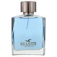 Hollister Wave For Him Eau de Toilette Spray 100ml