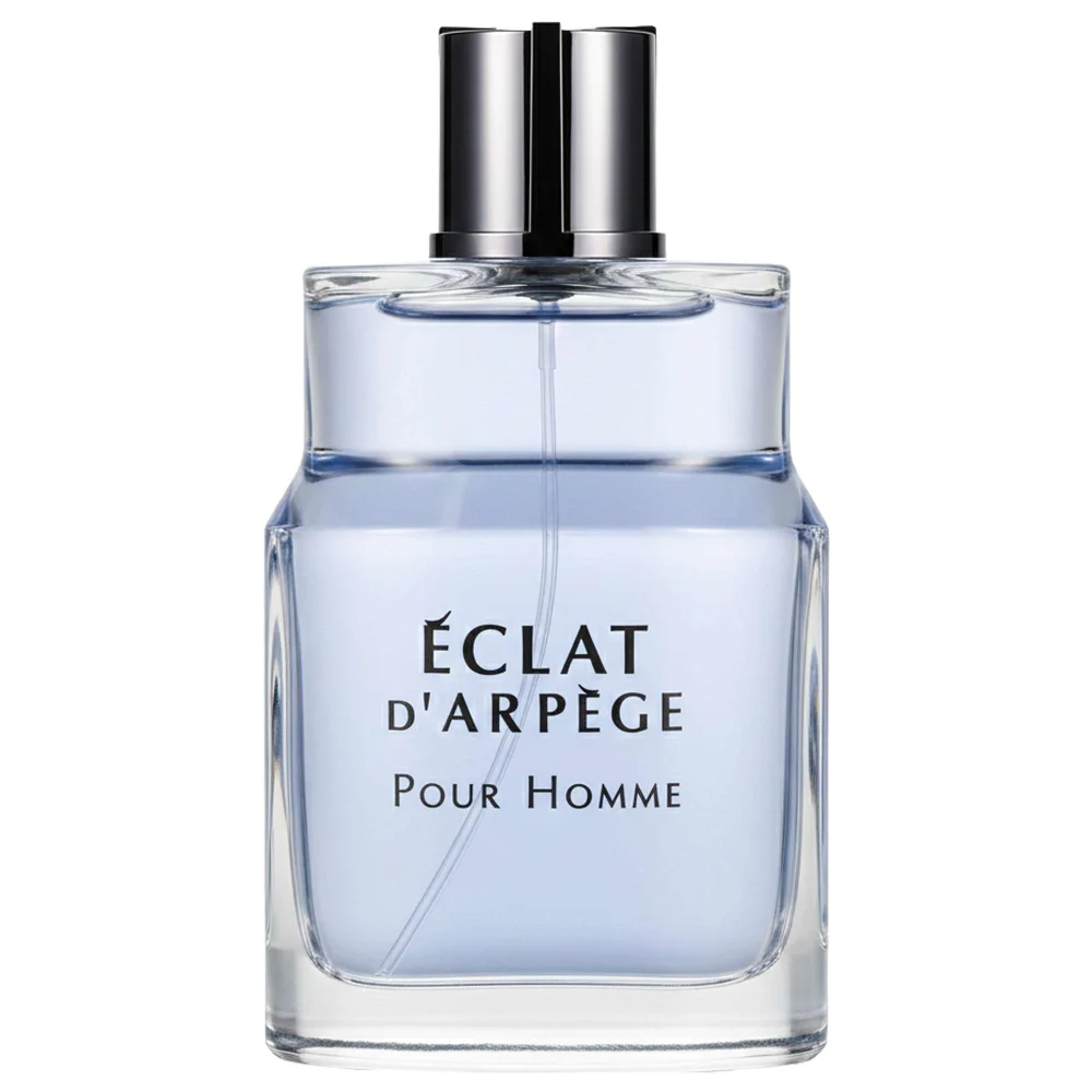 Lanvin Eclat d'Arpege Pour Homme Eau de Toilette Spray 100ml Image 1