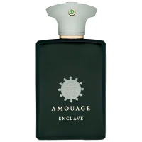 Amouage Enclave Eau de Parfum Spray 100ml