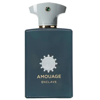 Amouage Enclave Eau de Parfum Spray 100ml