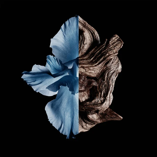 Givenchy Gentleman Eau de Toilette Intense Spray 60ml