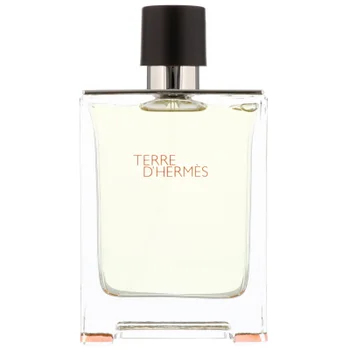 Hermès Terre d’Hermès Eau de Toilette Spray 100ml