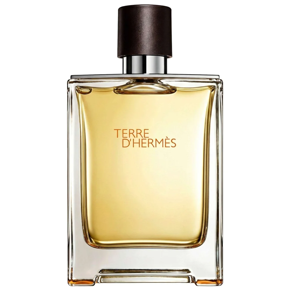 Hermès Terre d’Hermès Eau de Toilette Spray 100ml Image 1
