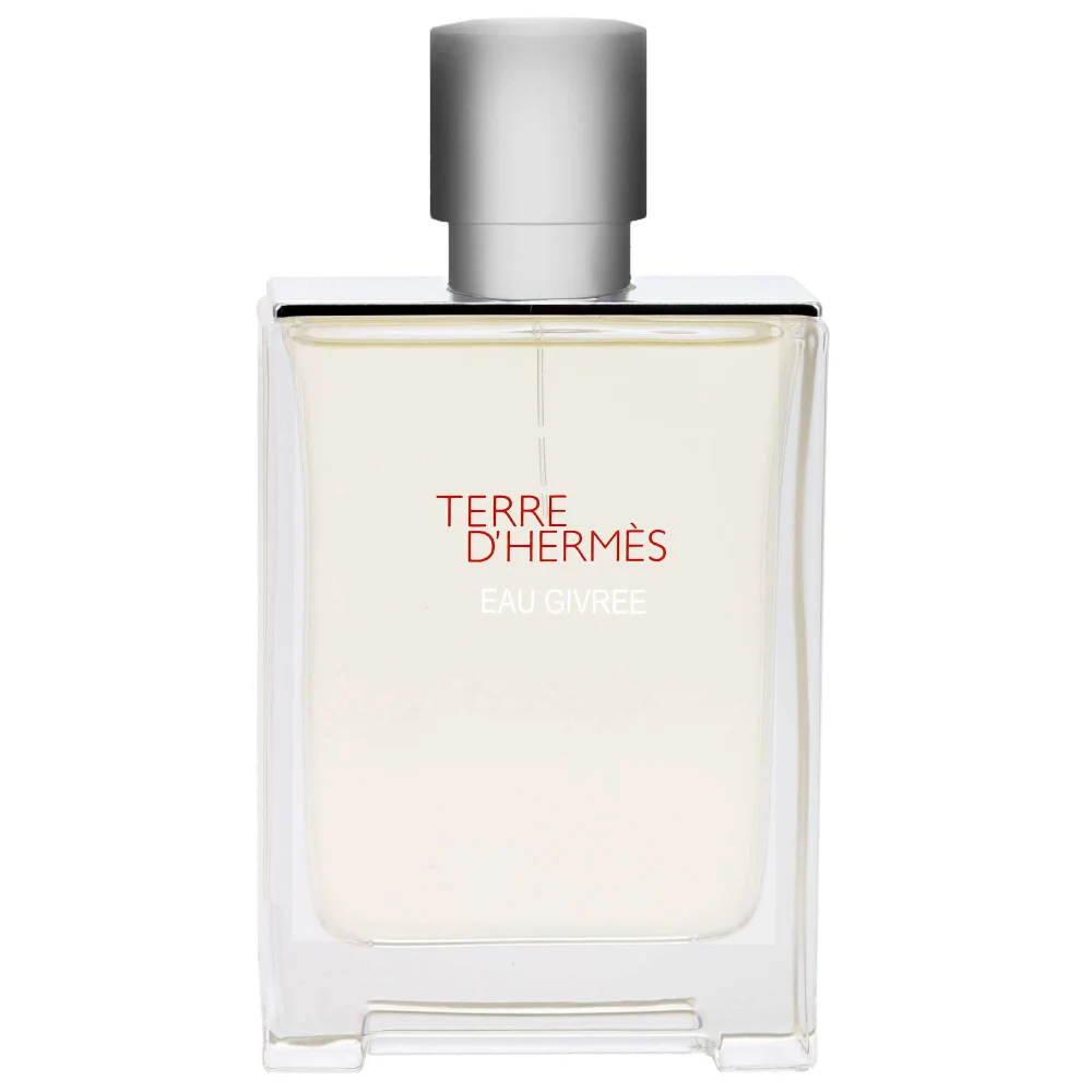 Hermès Terre d'Hermès Eau Givrée Eau de Parfum Spray 100ml Image 1