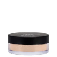 MAC Studio Fix Pro Set + Blur Weightless Loose Powder 6.5g (Various Shades) - undefined undefined