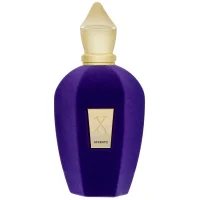 Xerjoff Vibe Collection Accento Eau de Parfum Spray 100ml - undefined undefined