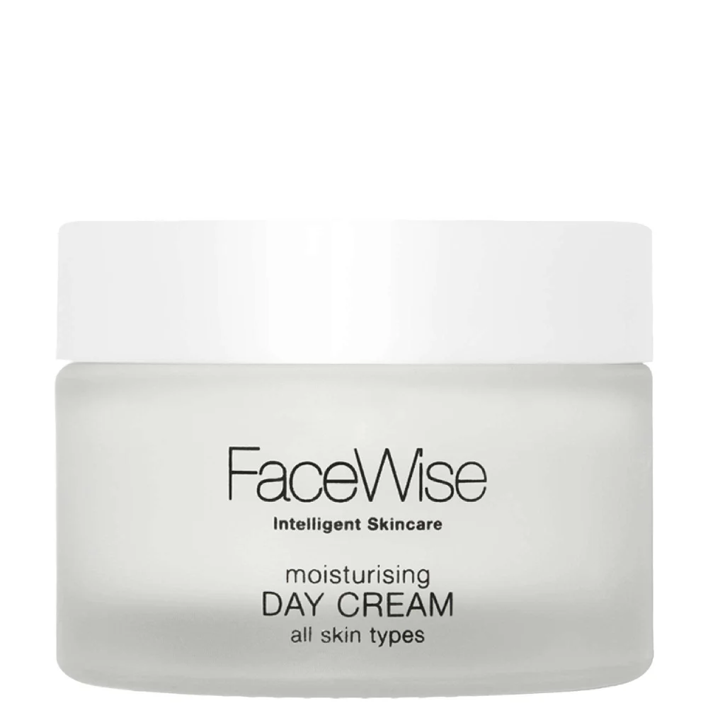 FaceWise Face Care Moisturising Day Cream 40ml Image 1