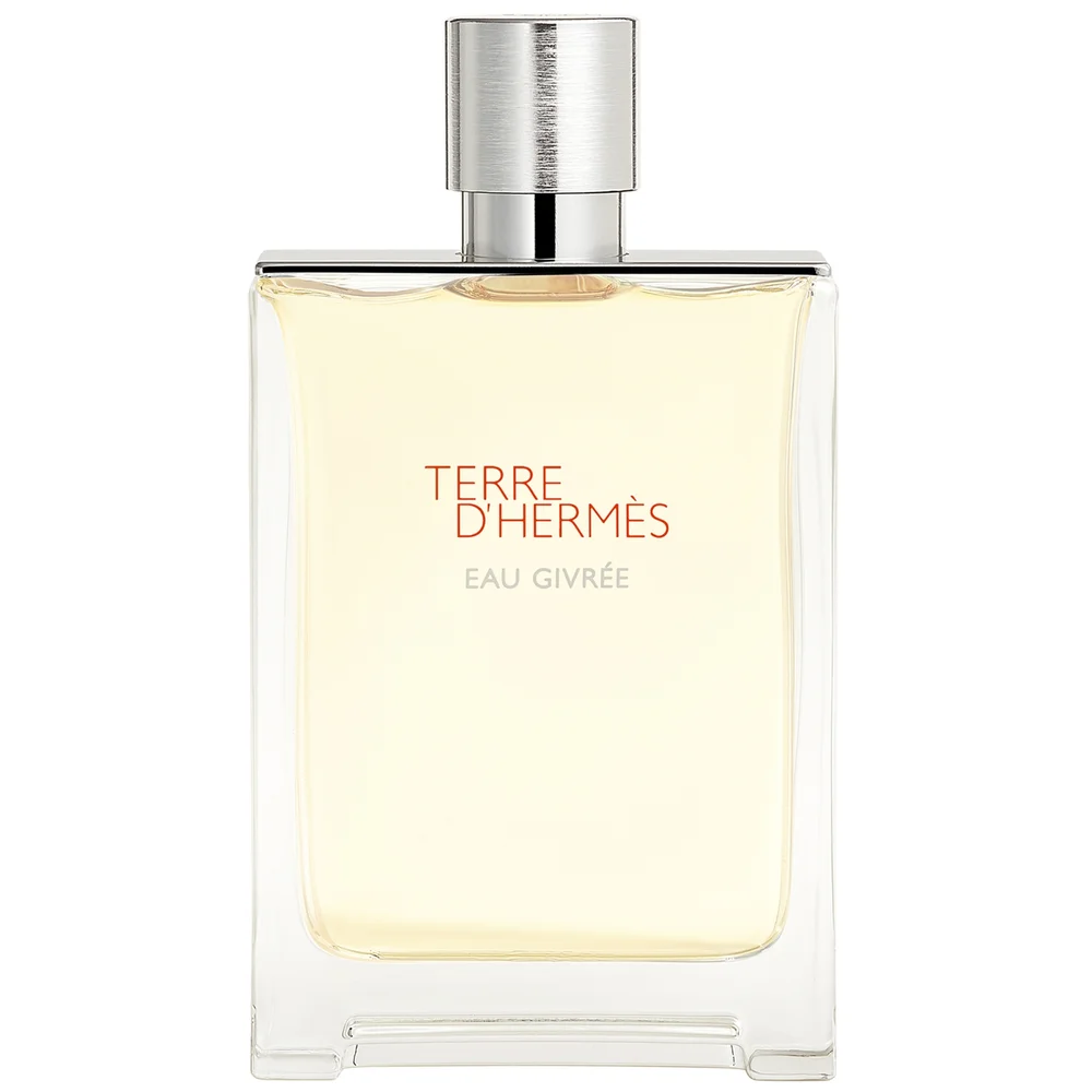 Hermès Terre d'Hermès Eau Givrée Eau de Parfum Spray 100ml Image 1