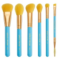 Spectrum Travel Books Amalfi 6 Piece Makeup Brush Set