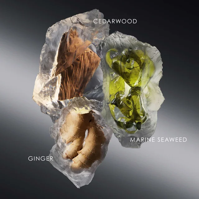 Issey Miyake Le Sel D'Issey Eau de Toilette Refill 150ml