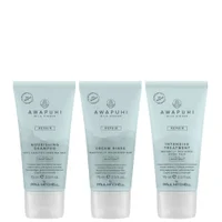 Paul Mitchell Gifts & Sets Awapuhi Wild Ginger Nourishing Travel Kit - undefined undefined