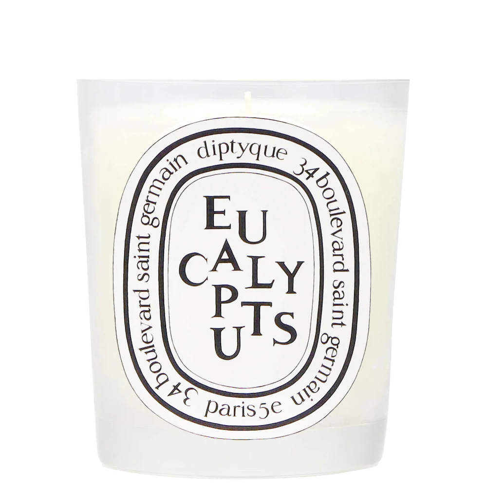 Diptyque Eucalyptus Scented Candle 190g Image 1