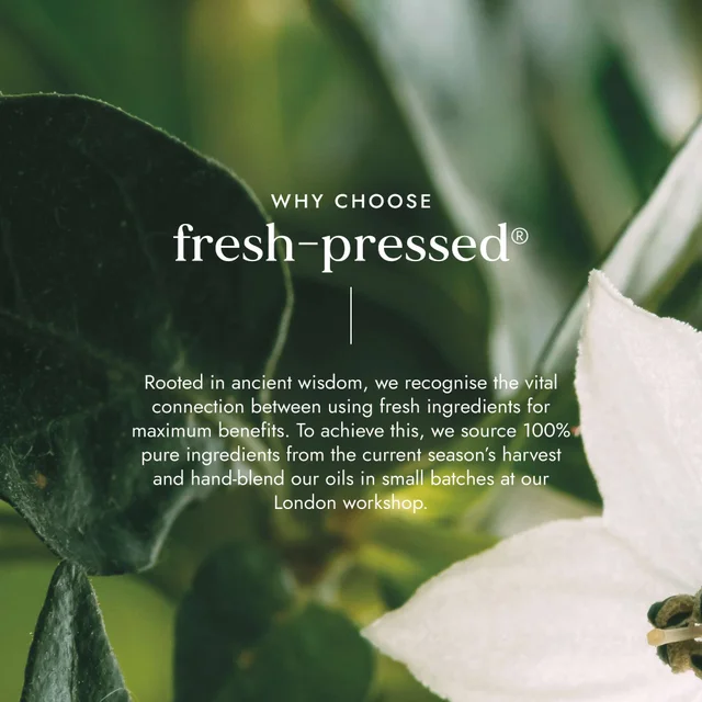 Fushi Organic Camellia Oil 100ml