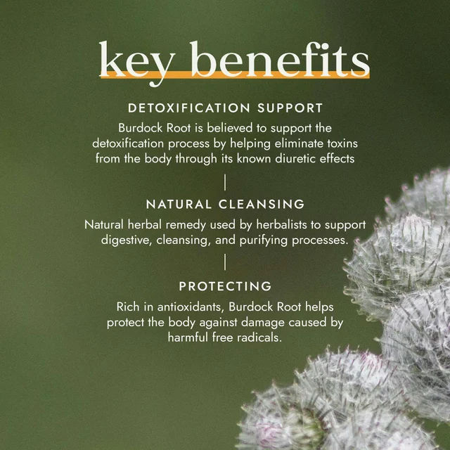 Fushi Single Herb Supplements Organic Burdock Root x 60 Capsules