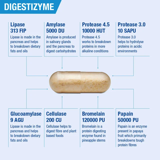 Lamberts Digestives Digestizyme x 100 Capsules