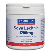 Lamberts Other Nutrients Soya Lecithin 1200mg x 120 Capsules