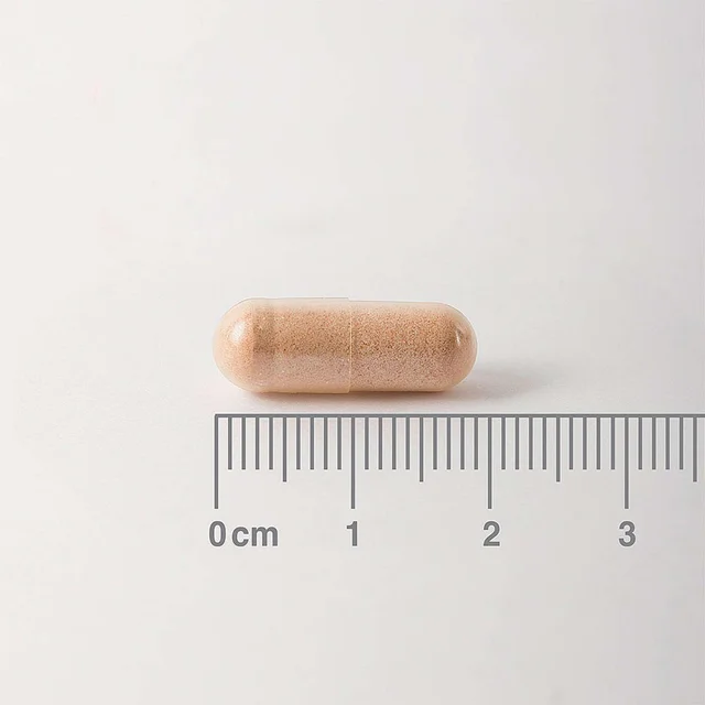 Lamberts Herbs Pycnogenol 40mg x 60 Capsules