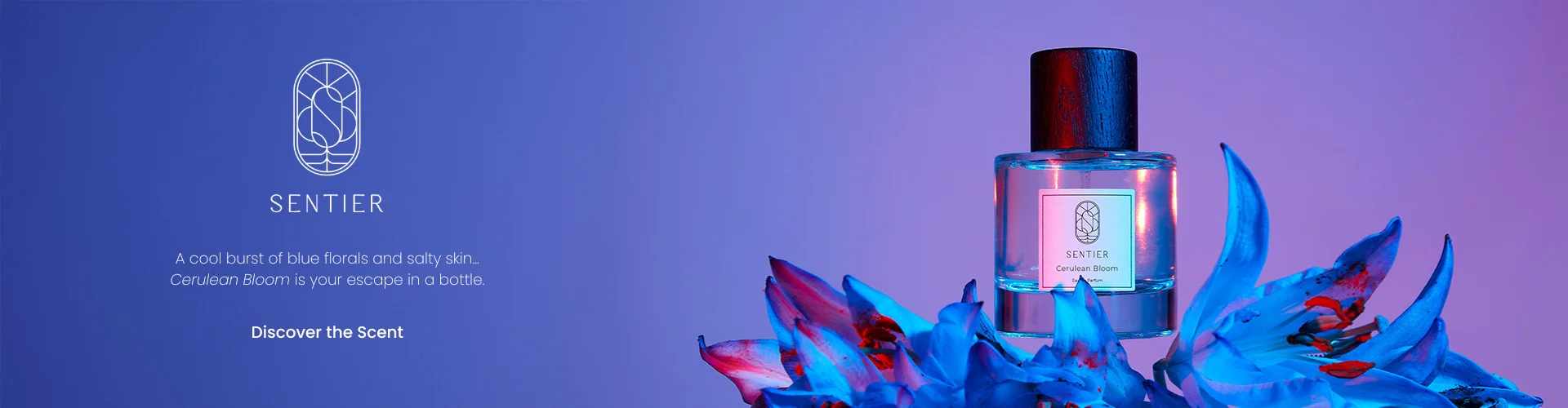 Brand Room Sentier Hero Banner