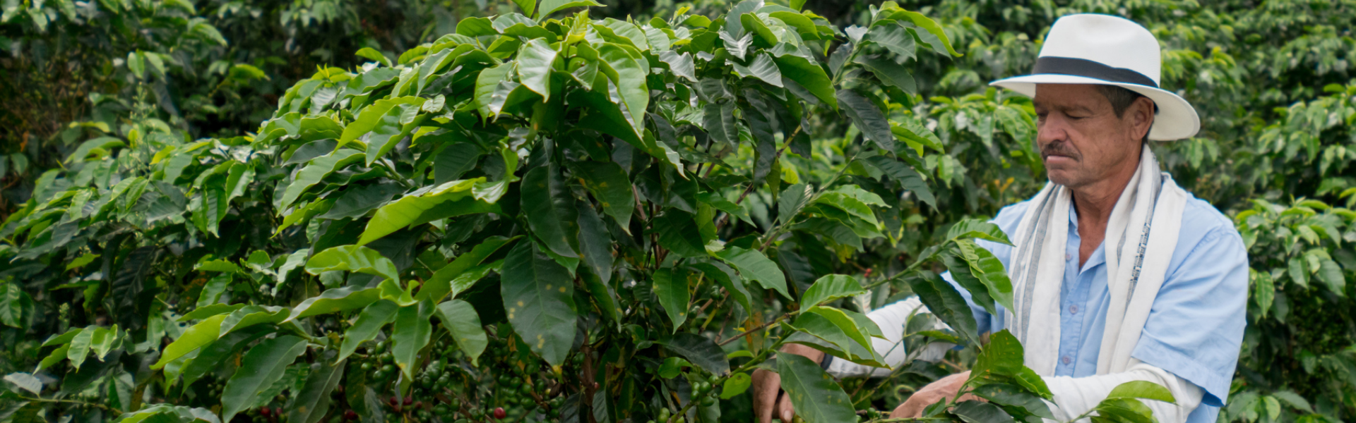 Fairtrade