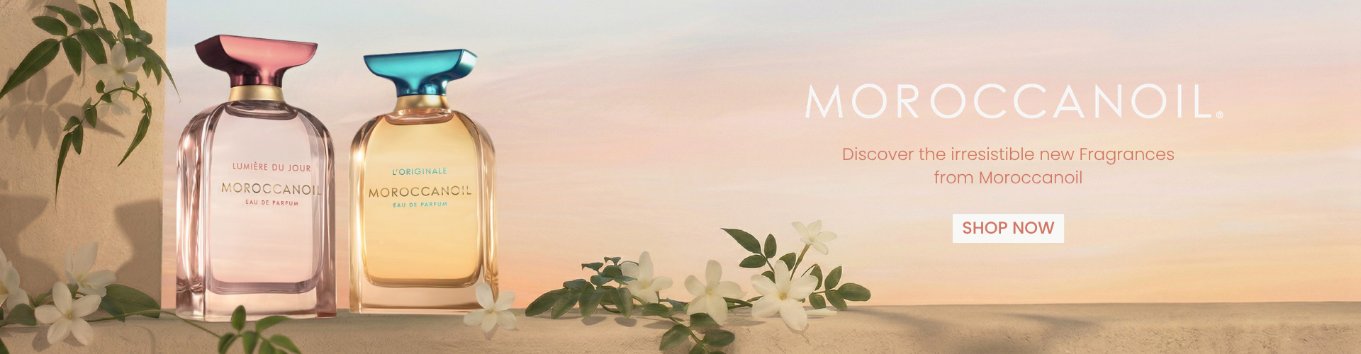 Moroccanoil Brand Room Hero Banners