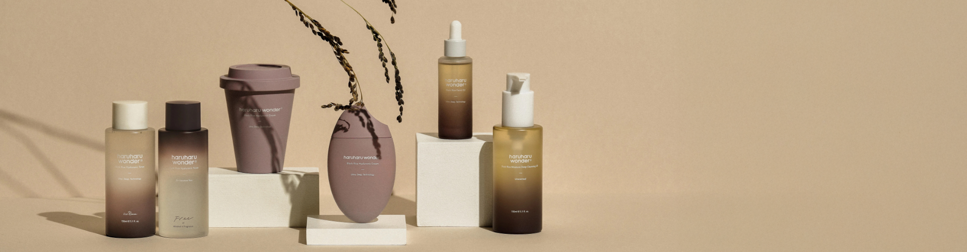 Brand Room Haruharu Wonder Hero Banners