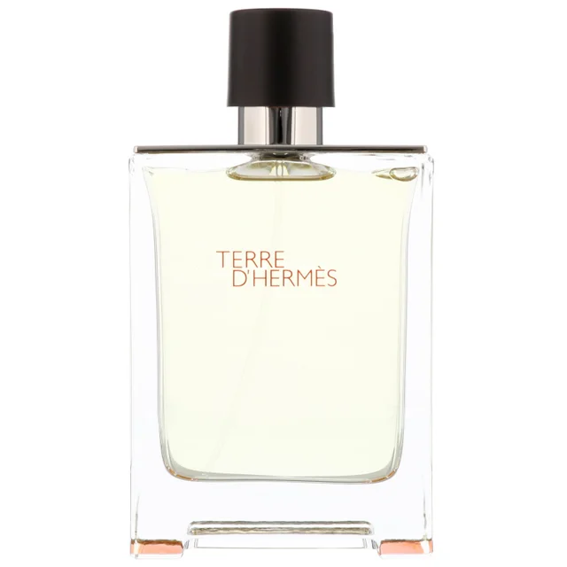 Hermès Terre d’Hermès Eau de Toilette Spray 100ml