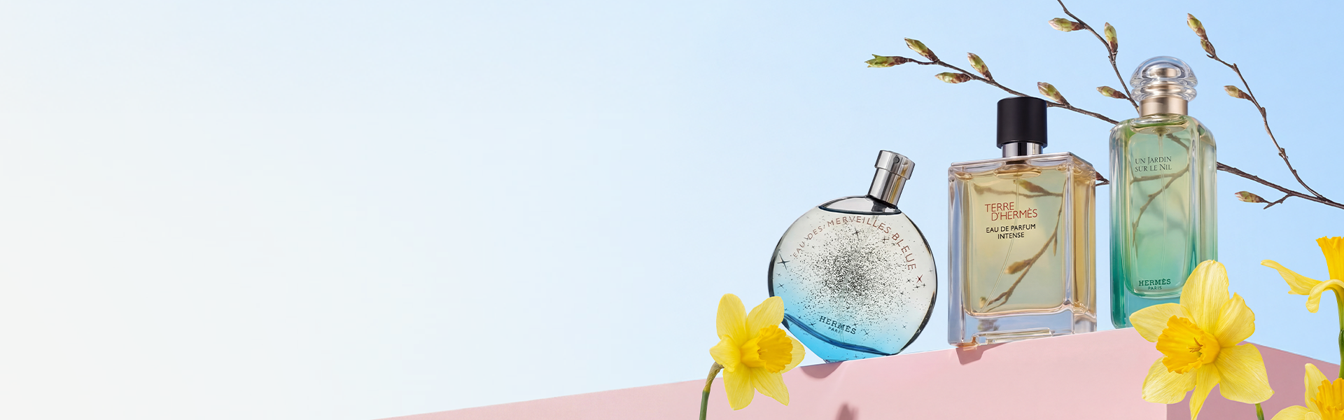 Hermes HP Hero Banner